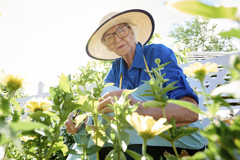 Discover the Remarkable Benefits of Gardening for Seniors