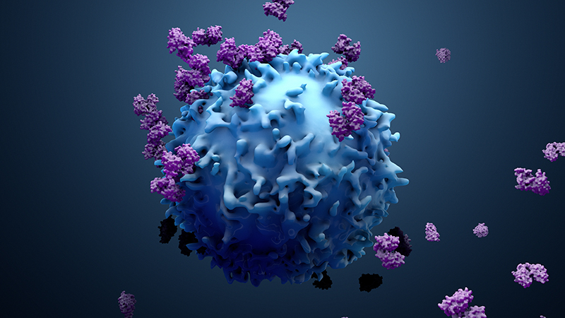 The Exciting New Cancer Treatment on the Horizon