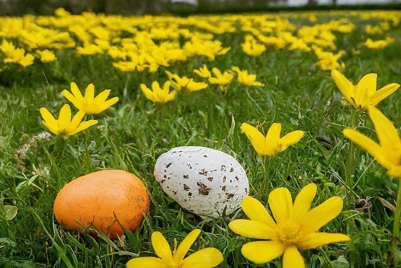 Hopping into Independence: Easter Signs Your Senior May Need In-Home Care